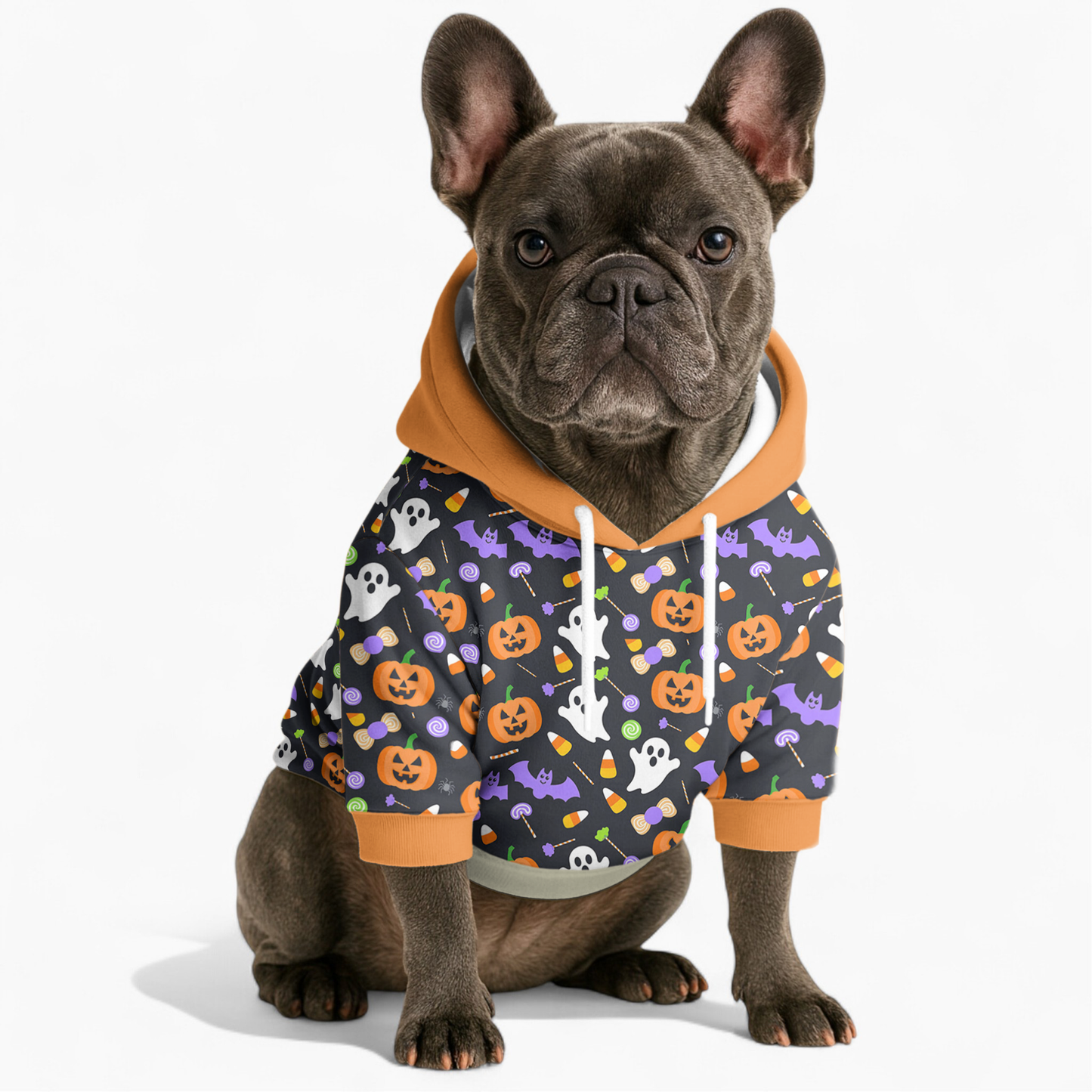 Lily French bulldog hoodie
