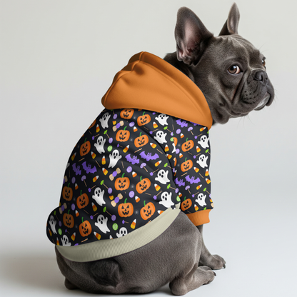 Lily Frenchie hoodie