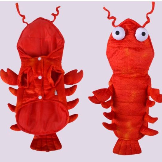 LobRuff-Frenchie-Lobster-Costume