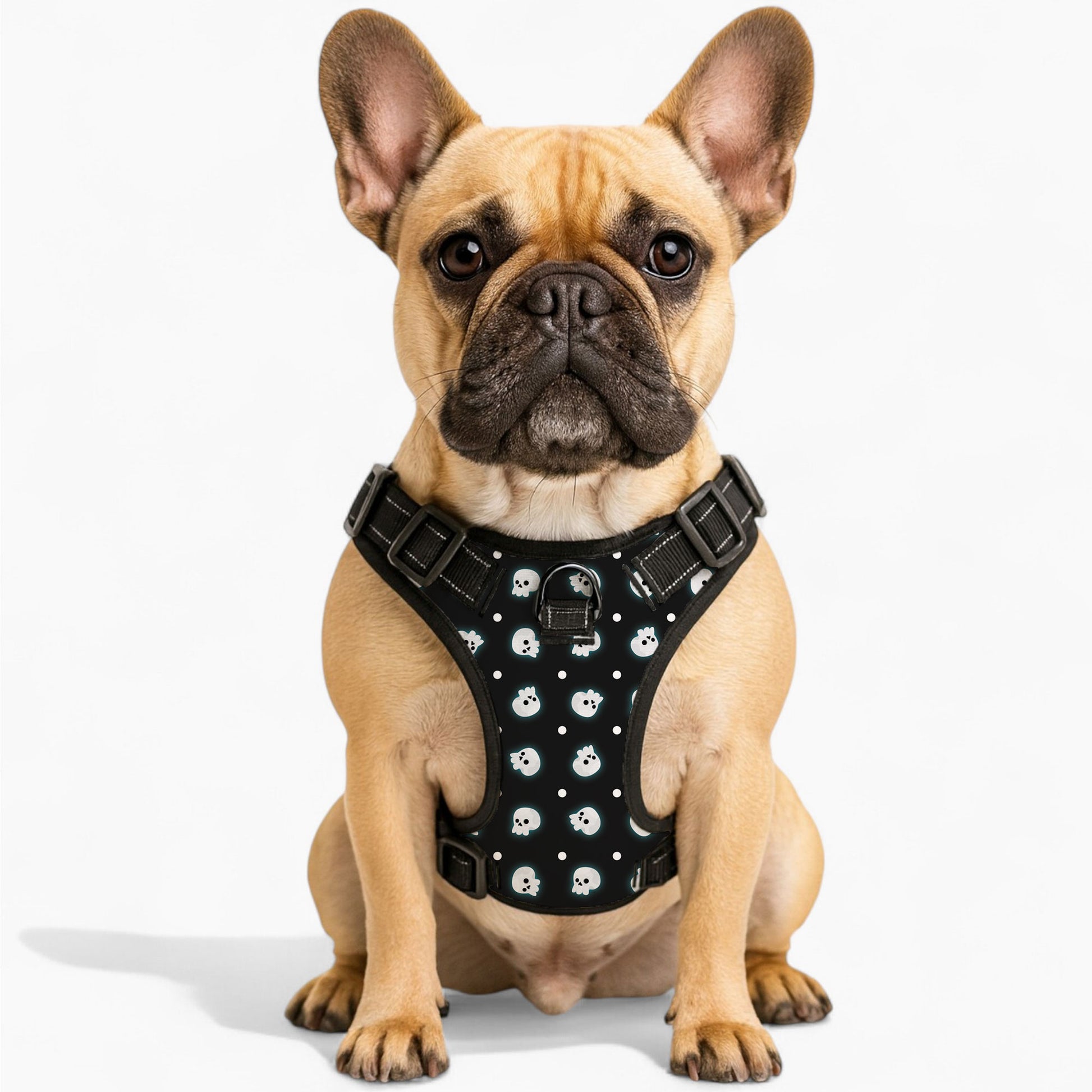 Loki No-Pull Dog Harness