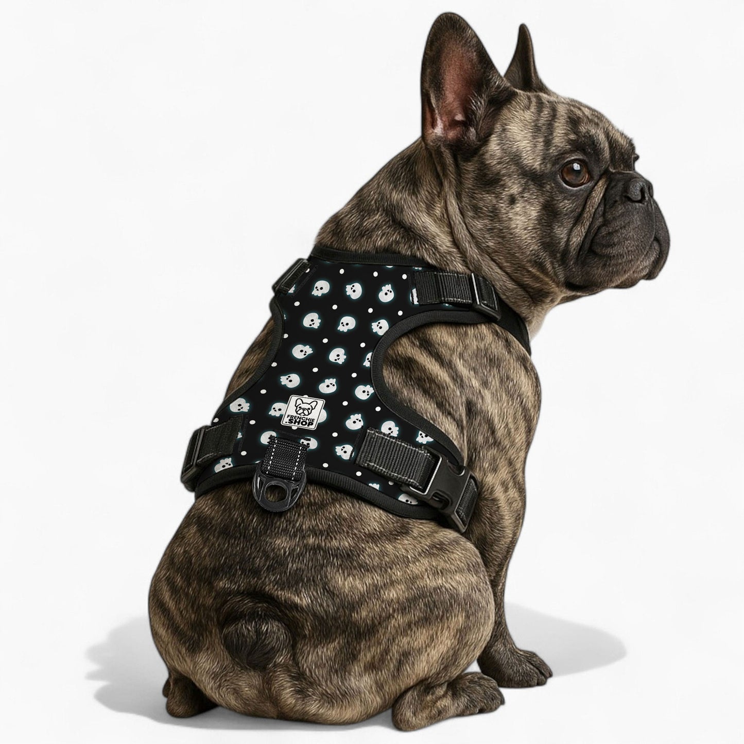 Loki No-Pull French Bulldog Harness