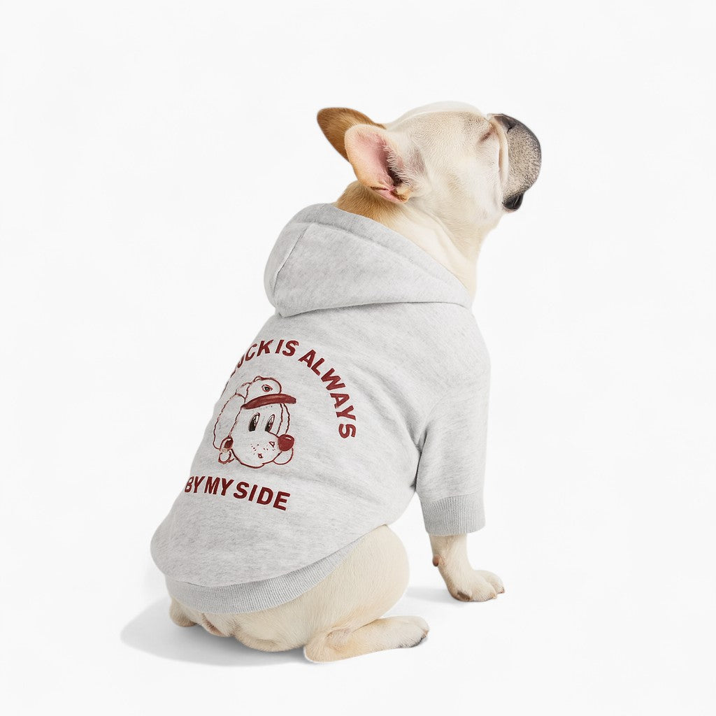 LuckyPup-Frenchie-Dog-Human-Matching-Hoodie.jpg
