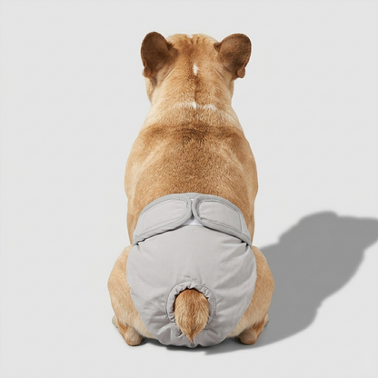 LunAra-Frenchie-Female-Diaper.jpg