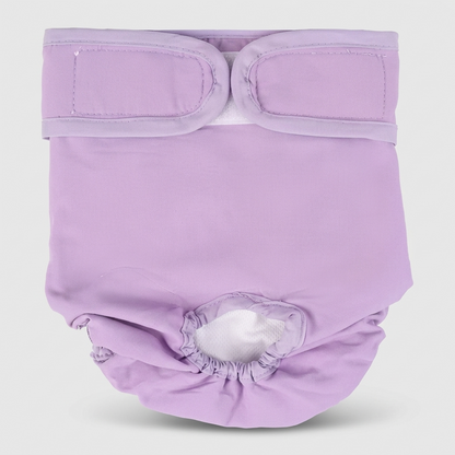 LunAra-Frenchie-Female-Diaper.jpg