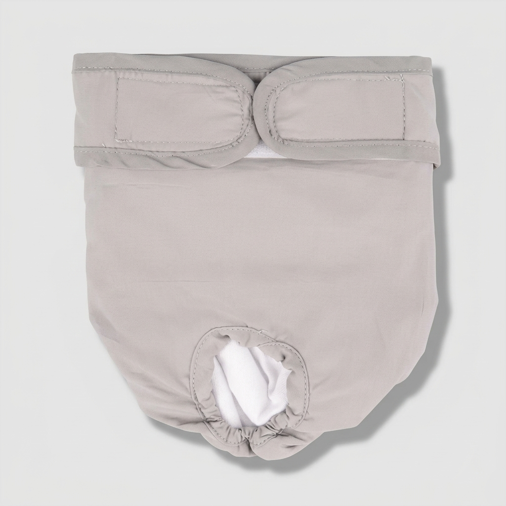 LunAra-Frenchie-Female-Diaper.jpg