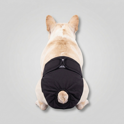 LunAra-Frenchie-Female-Diaper.jpg