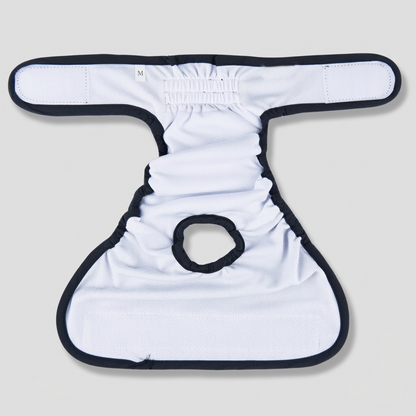 LunAra-Frenchie-Female-Diaper.jpg