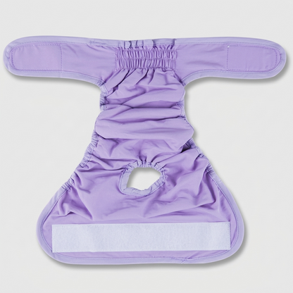 LunAra-Frenchie-Female-Diaper.jpg