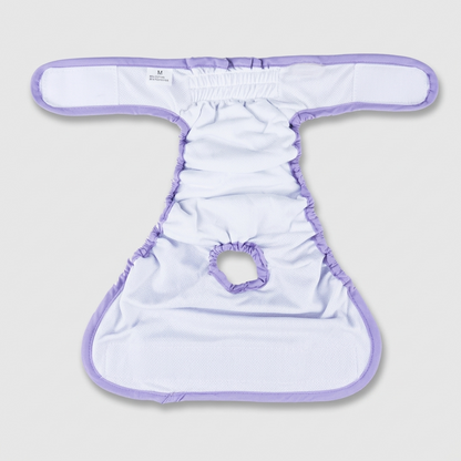 LunAra-Frenchie-Female-Diaper.jpg