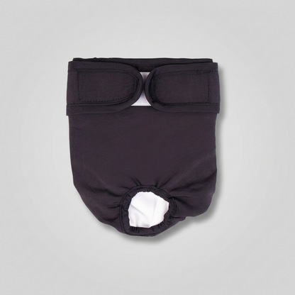 LunAra-Frenchie-Female-Diaper.jpg