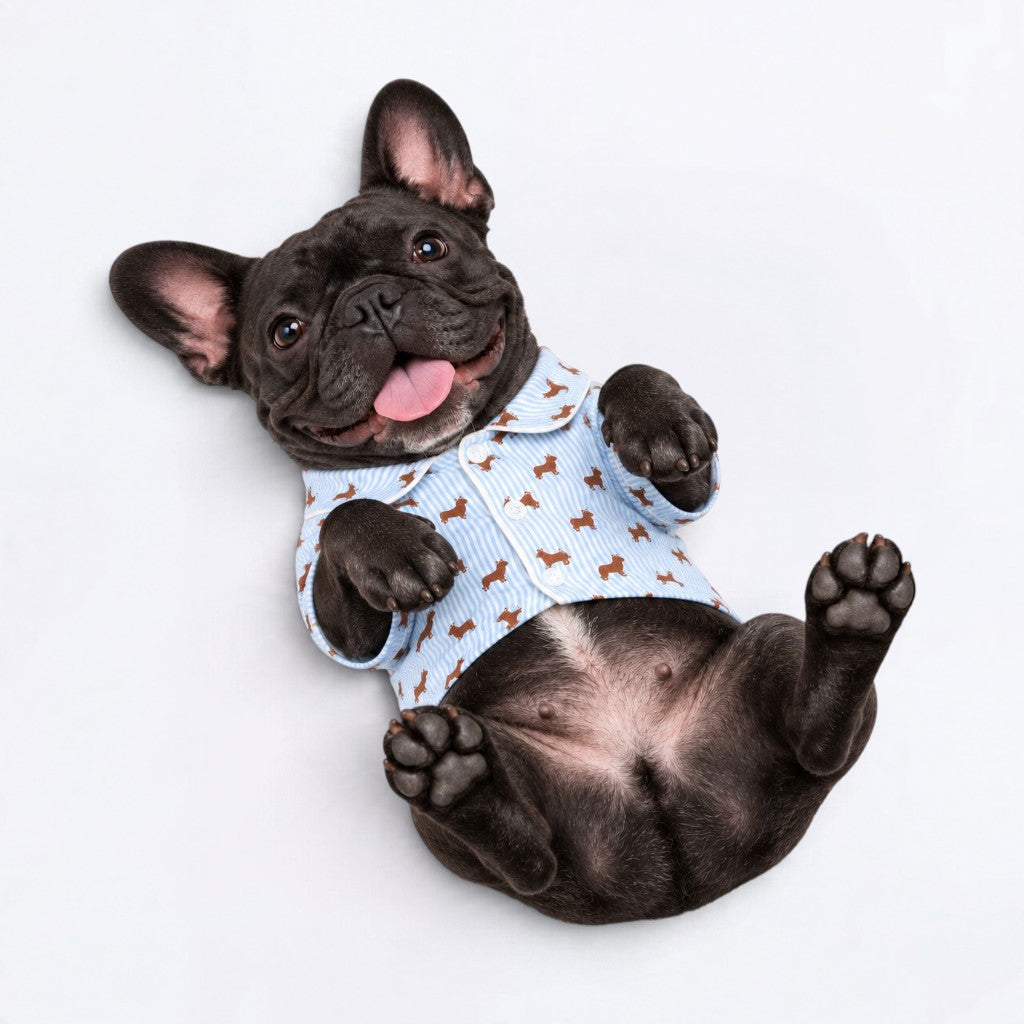 Gigi – Matching Frenchie  Pajamas | Soft Satin Pajamas