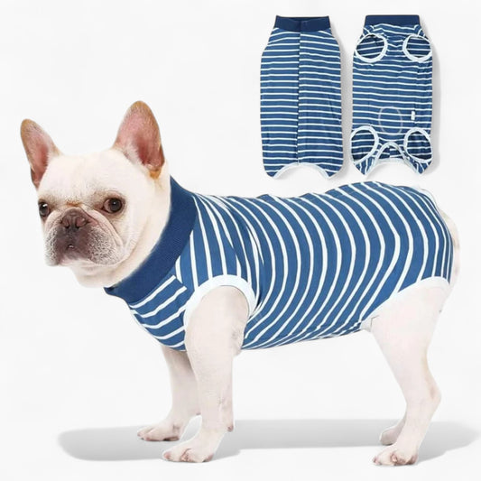 MediPup-French-Bulldog-Surgical-Suit.jpg