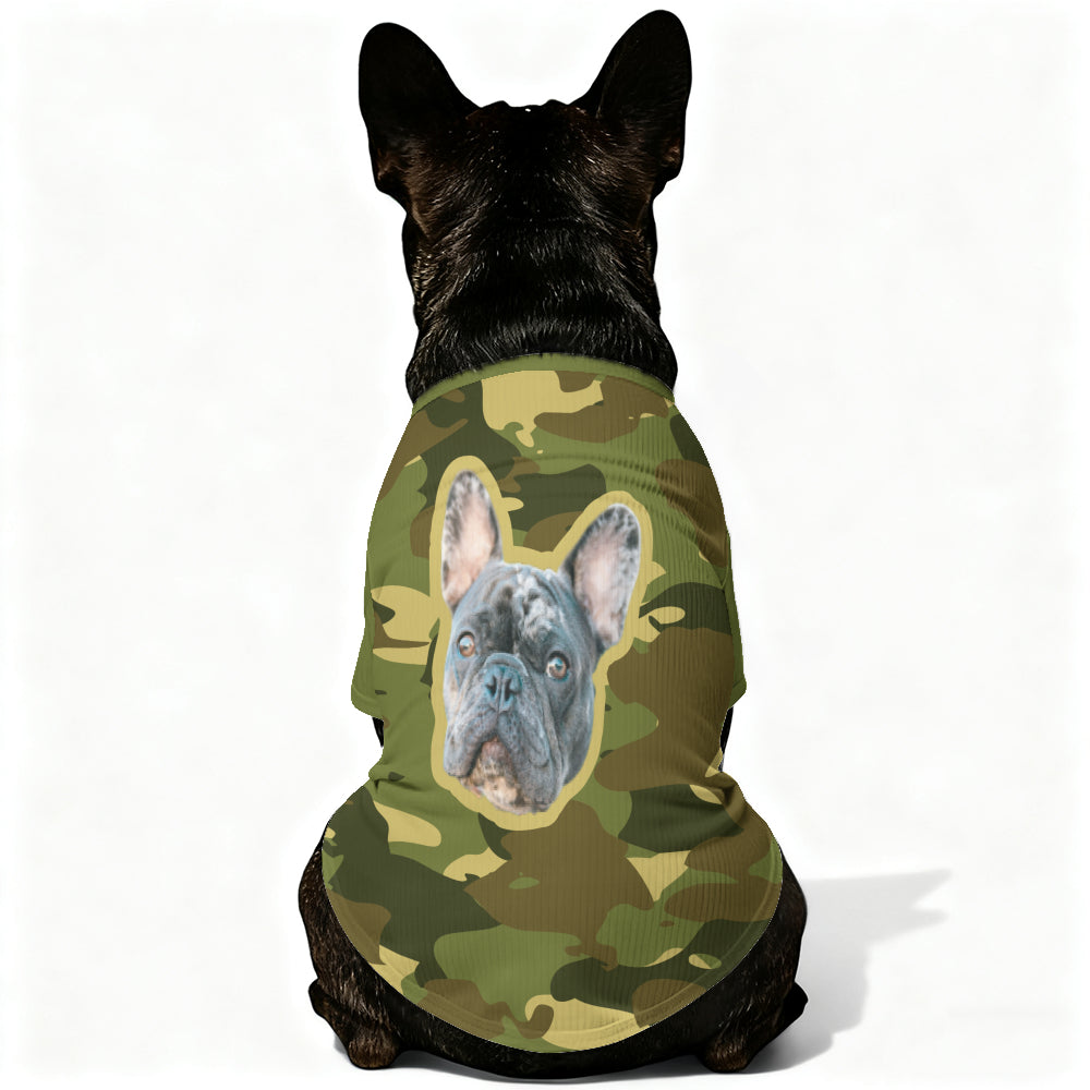 Pip - Personalized Wool Sweater for Frenchies