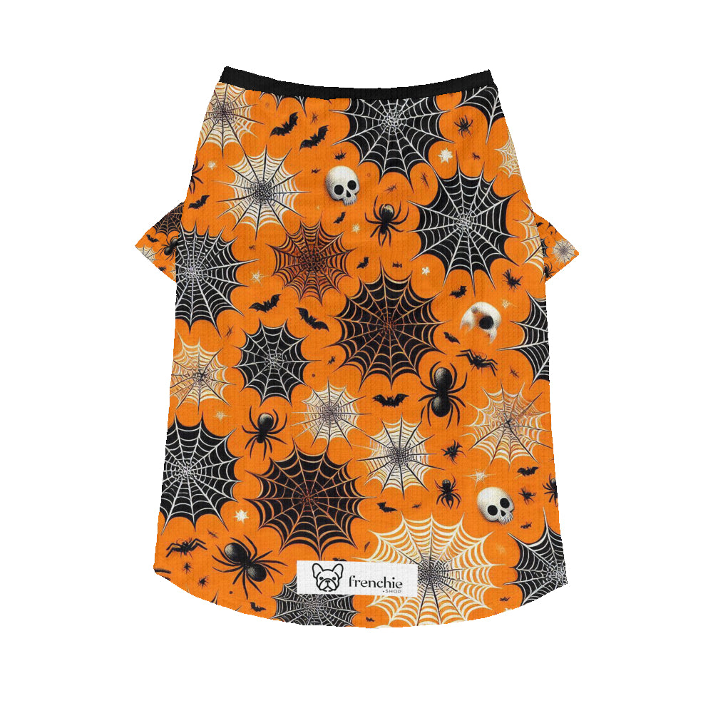 Morty Wool Sweater for French bulldog