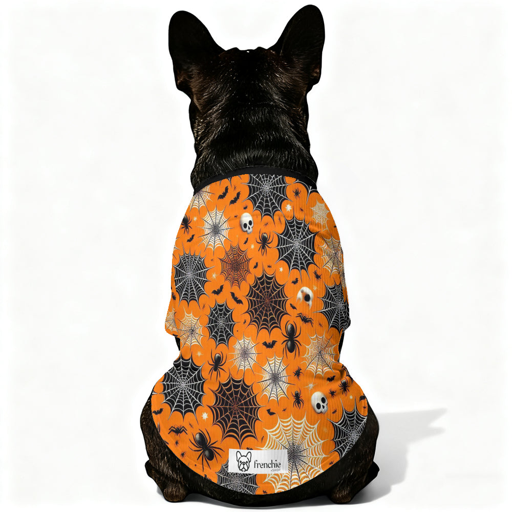 Morty Wool Sweater for Frenchies
