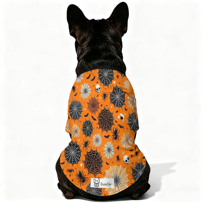 Morty Wool Sweater for Frenchies
