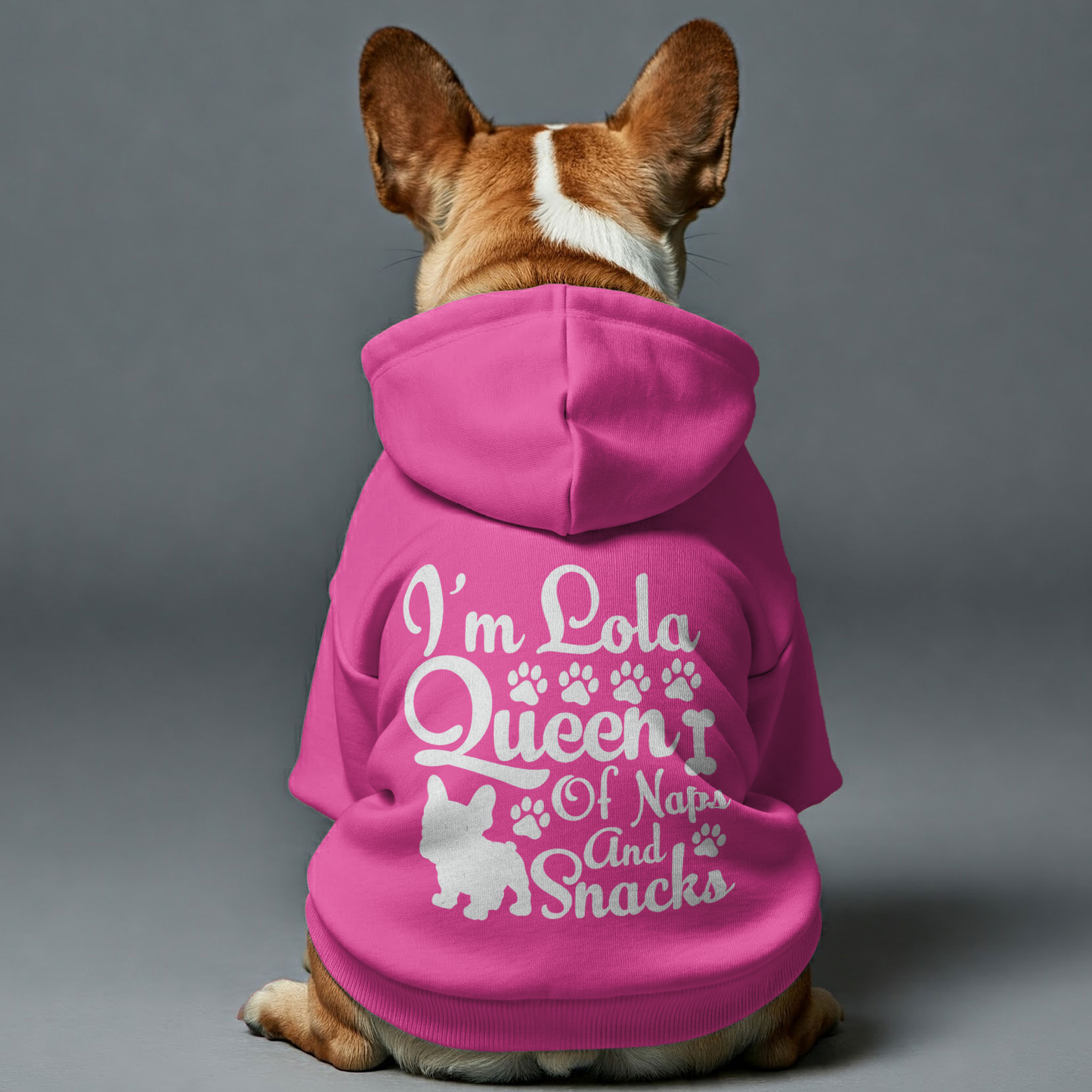 Sudadera con capucha personalizada de bulldog francés con frases divertidas y nombre personalizado: elegante, acogedora y de primera calidad, 100 % algodón.