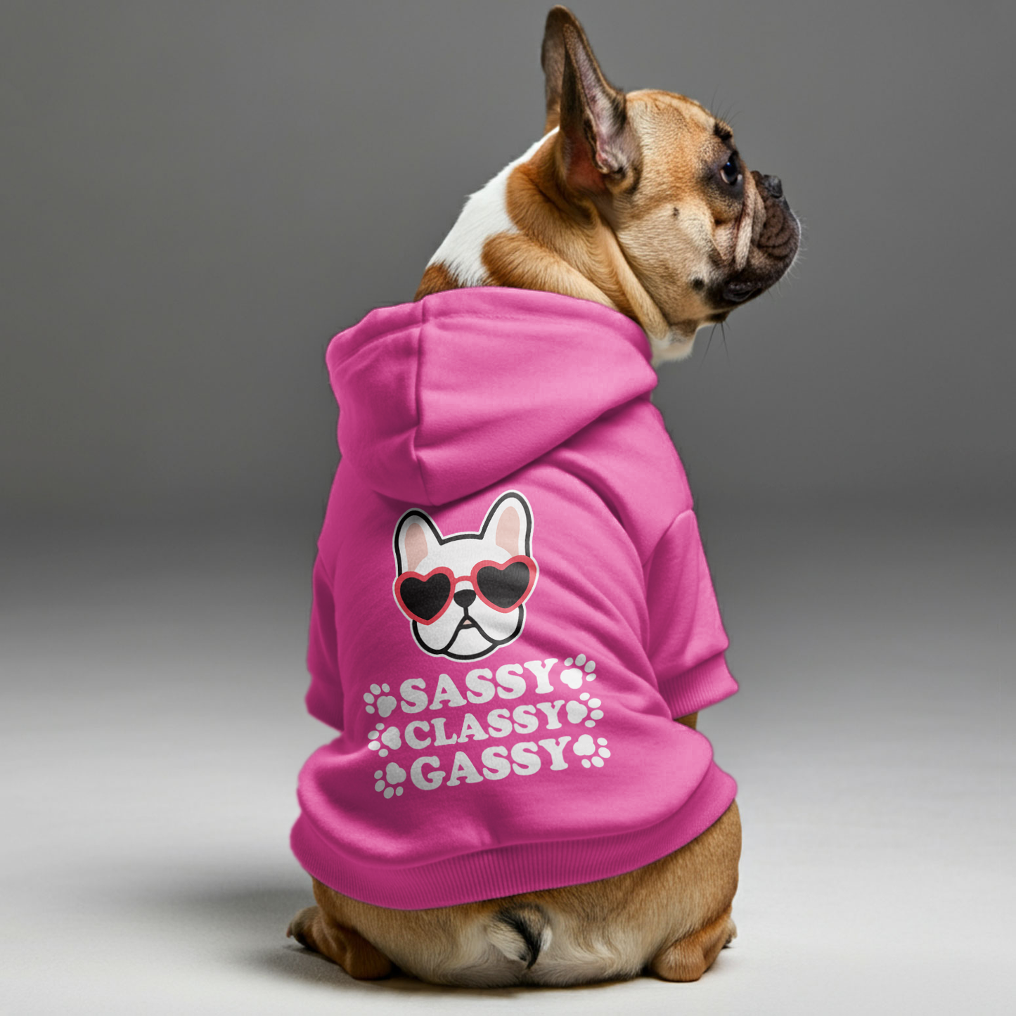 Atrevidas, elegantes y divertidas: sudaderas personalizadas de bulldog francés con frases divertidas: elegantes, acogedoras y de primera calidad, 100 % algodón.