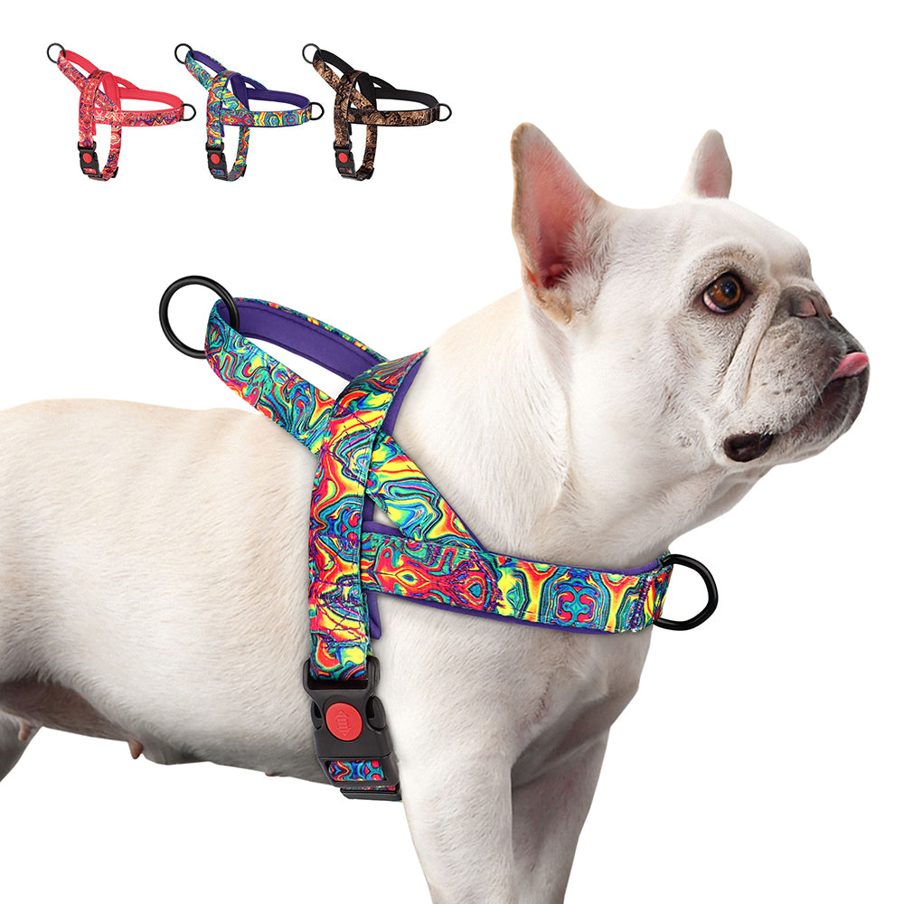 PrintPup-No-Pull-Frenchie-Harness-with-Unique-Print-Patterns-www.frenchie.shop