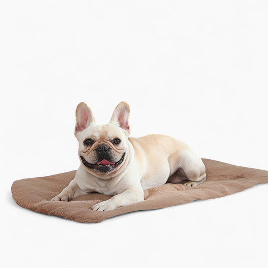 Heatlux-French-Bulldog-Pad.jpg