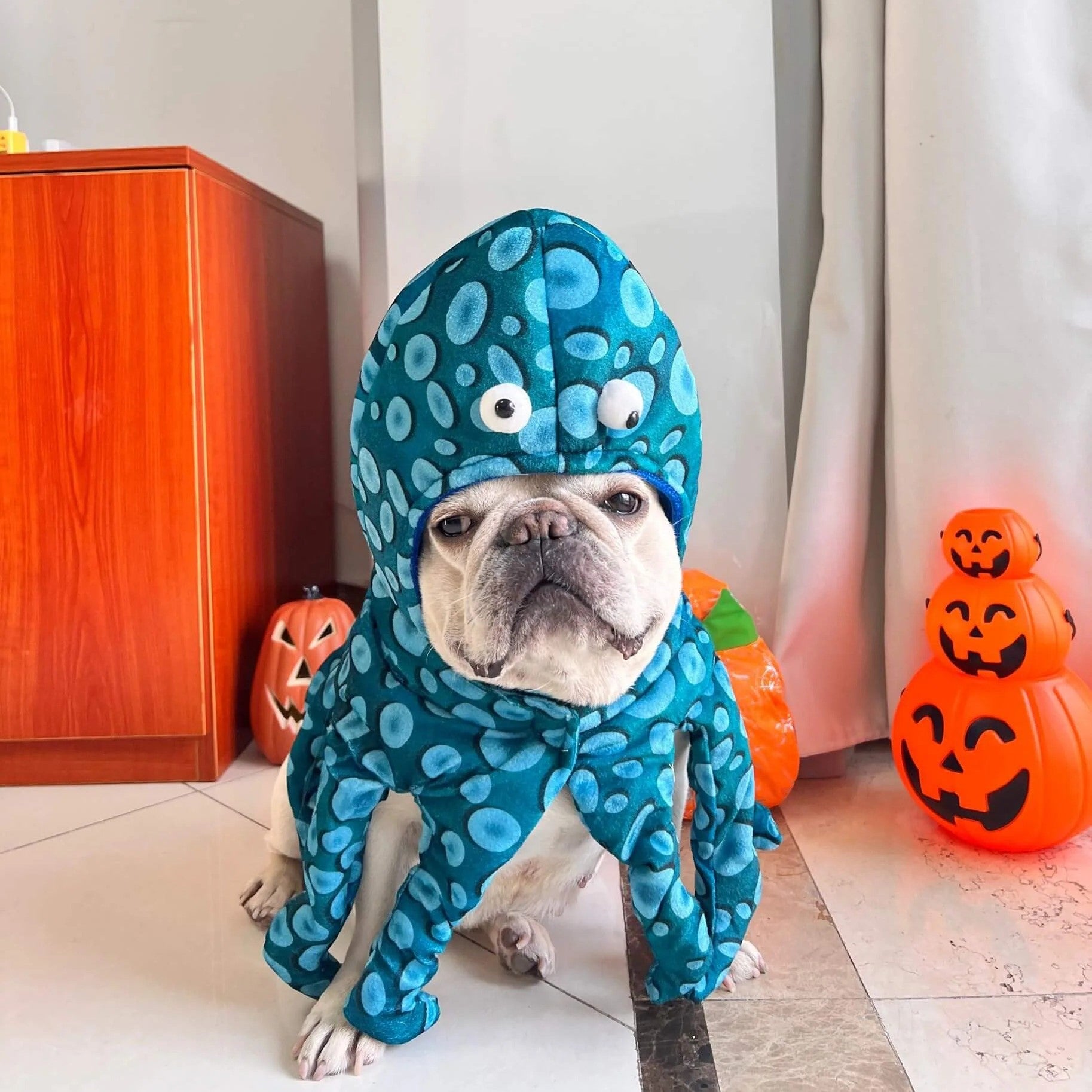Octuff Octopus Costume for Frenchies