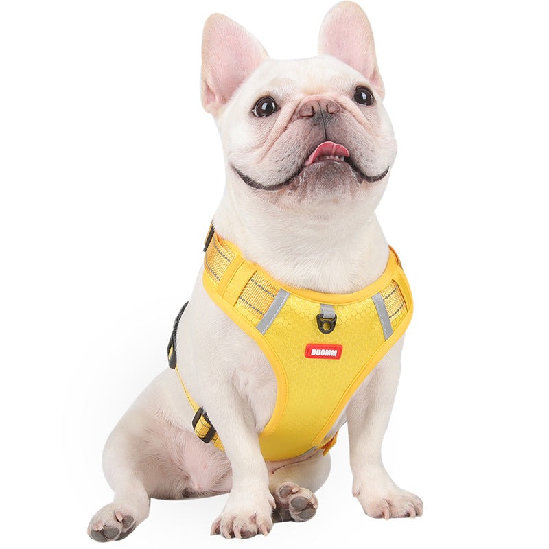 Premium Frenchie Harness Vest: Adjustable with Safety Reflective Lead Straps (WS 0723)