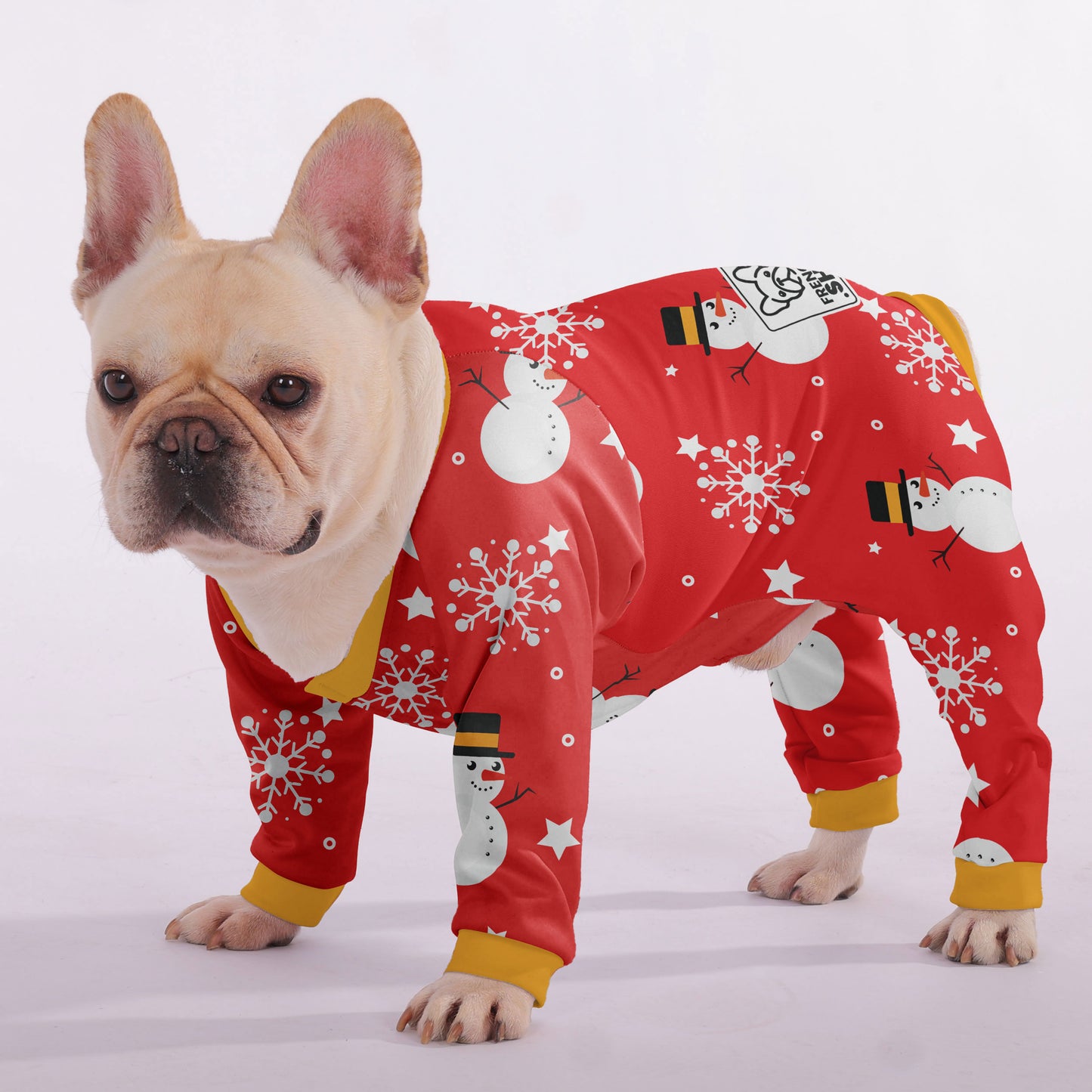 Noodle - Frenchie Pajamas