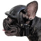 Ultimate Frenchie Protection Helmet