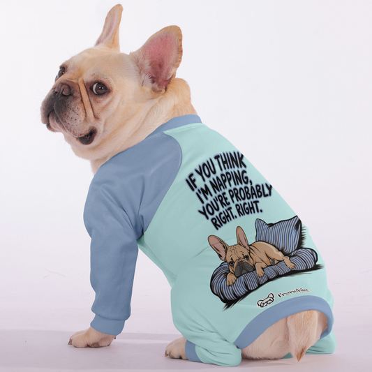 If you think Im napping, youre probably right. - Frenchie Pajamas – Ultra-Soft, Cozy, & Adorably Stylish