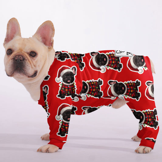 Olive - Frenchie Pajamas