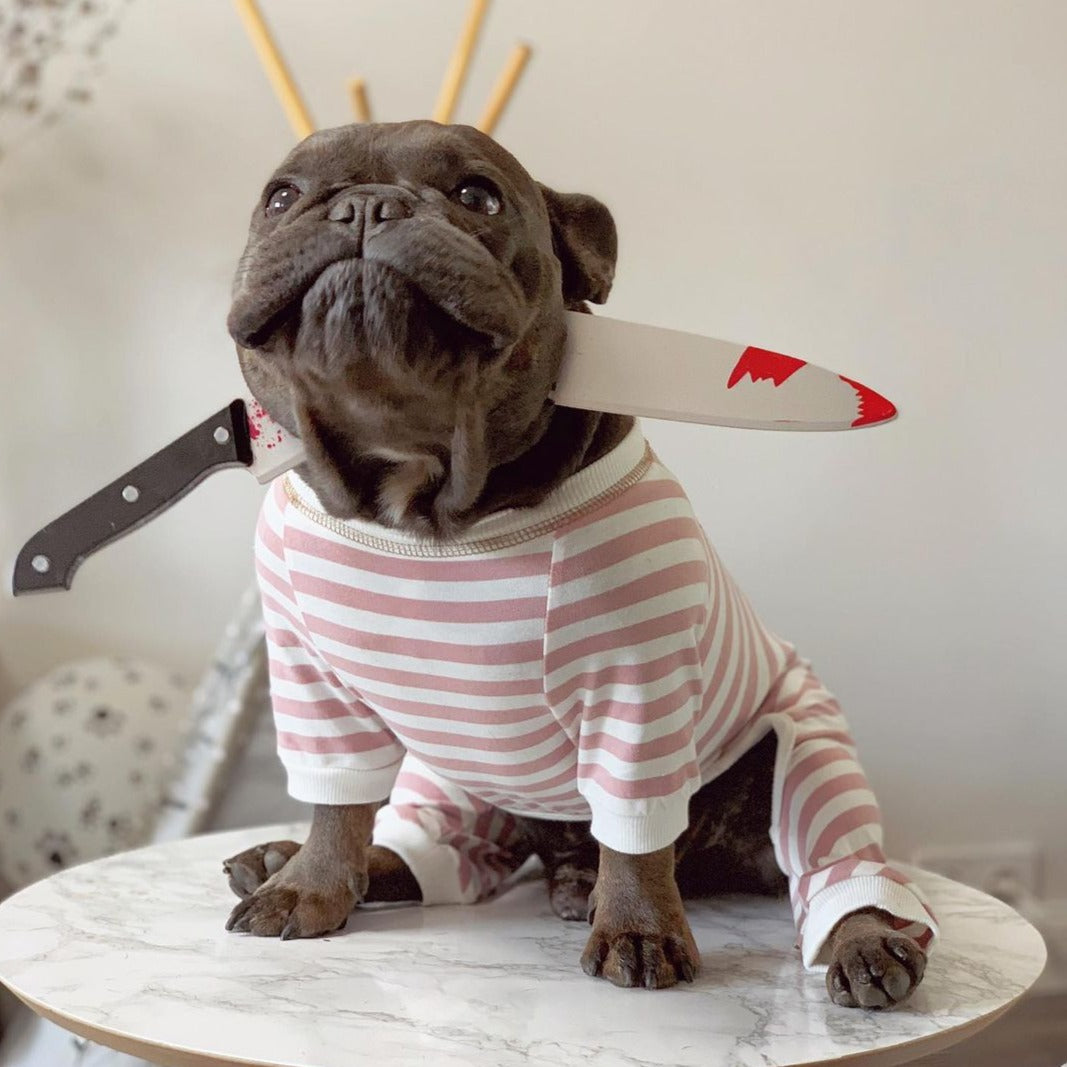 Halloween Accessories for French Bulldog