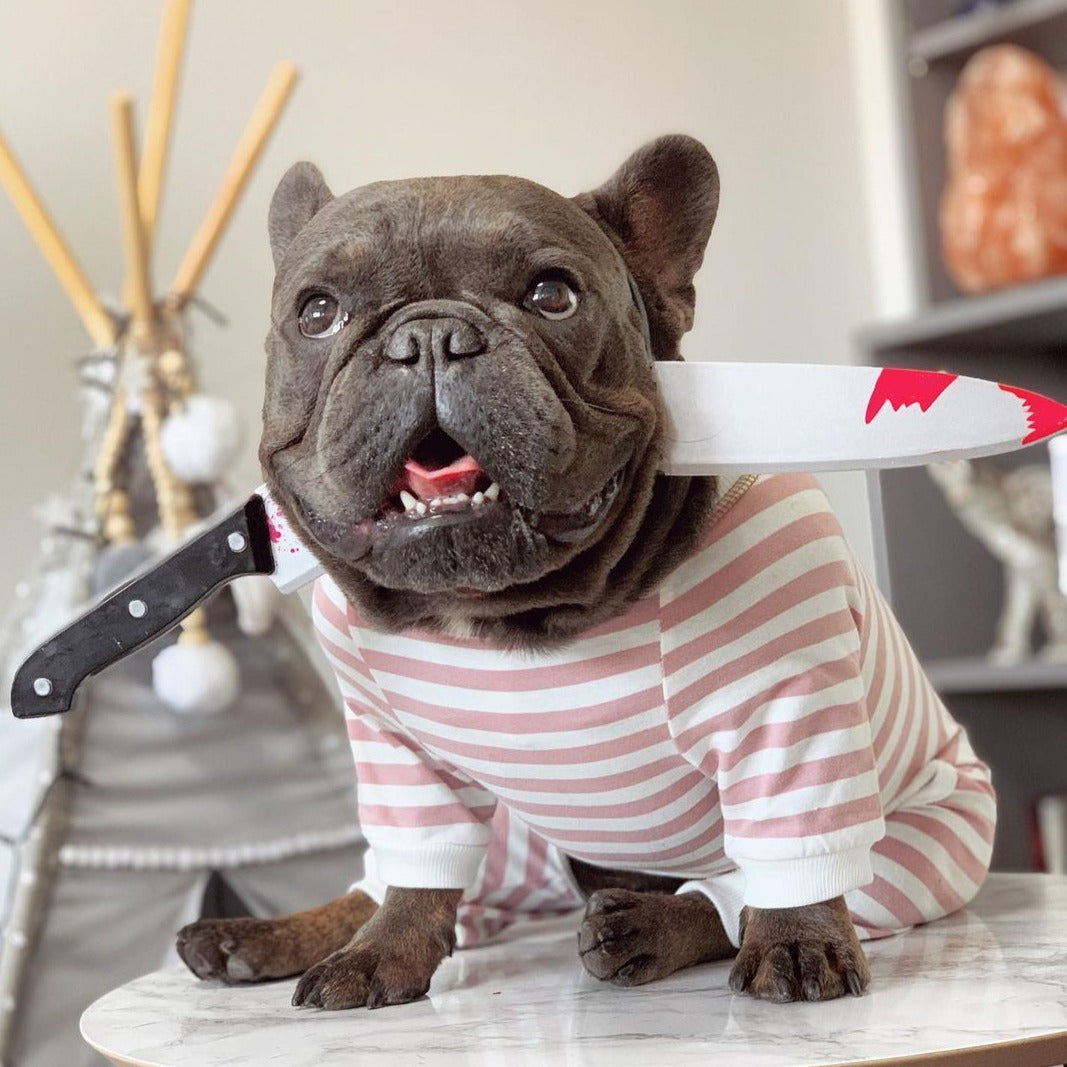 French Bulldog Halloween accessories