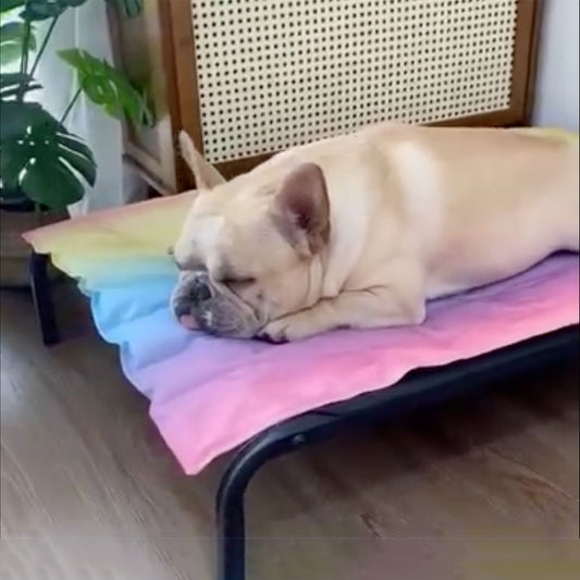 IcePup Frenchie Summer Cooling Mat with Advanced Ice Tech