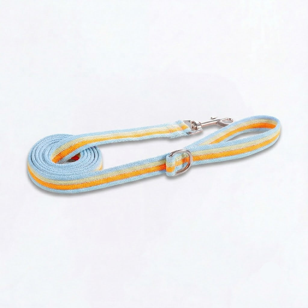 PawBow-Frenchie-Harness-Leash-Set.jpg