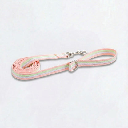 PawBow-Frenchie-Harness-Leash-Set.jpg