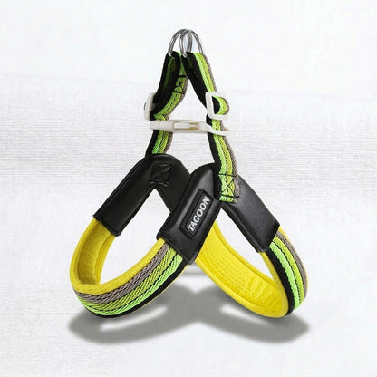 PawBow-Frenchie-Harness-Leash-Set.jpg