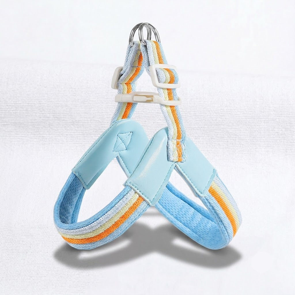 PawBow-Frenchie-Harness-Leash-Set.jpg