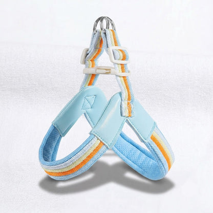 PawBow-Frenchie-Harness-Leash-Set.jpg