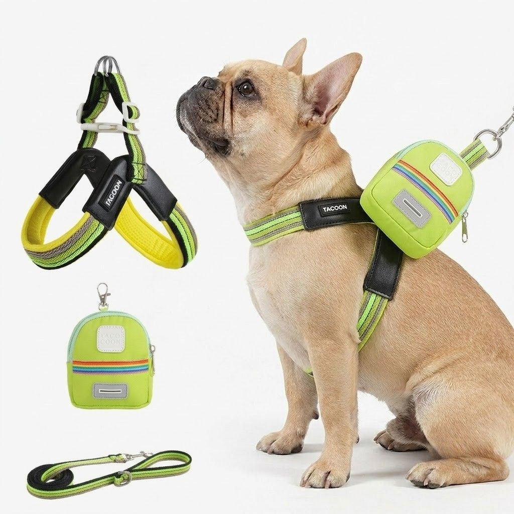 PawBow-Frenchie-Harness-Leash-Set.jpg