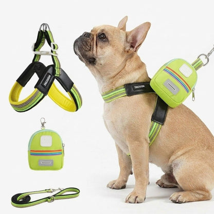 PawBow-Frenchie-Harness-Leash-Set.jpg