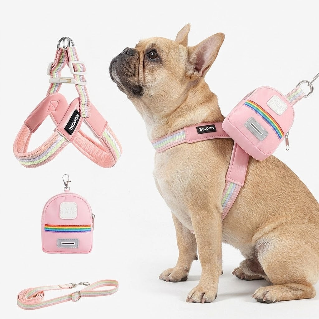 PawBow-Frenchie-Harness-Leash-Set.jpg