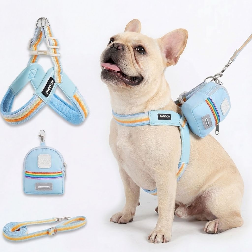 PawBow-Frenchie-Harness-Leash-Set.jpg