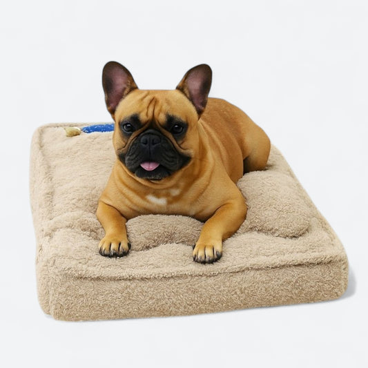 PawDreamy-French-Bulldog-Bed.jpg