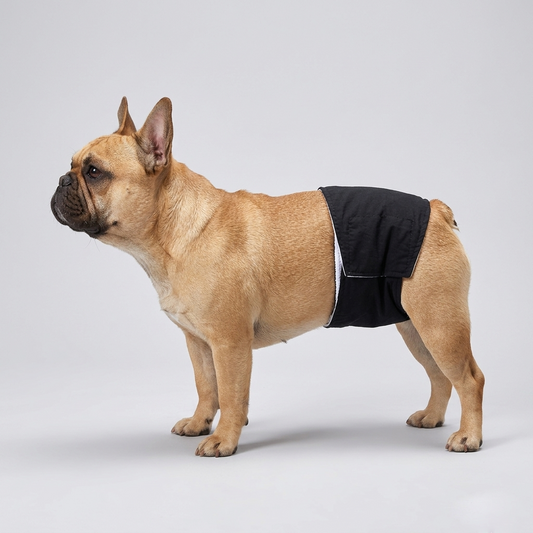 PawElle-French-Bulldog-Diaper.jpg