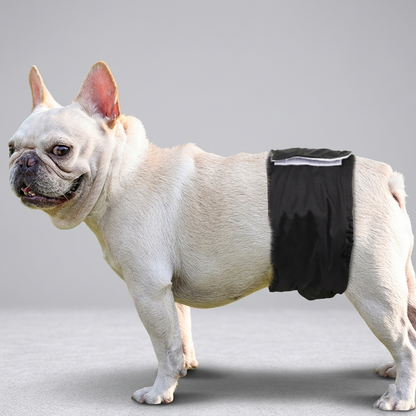 PawElle-French-Bulldog-Diaper.jpg