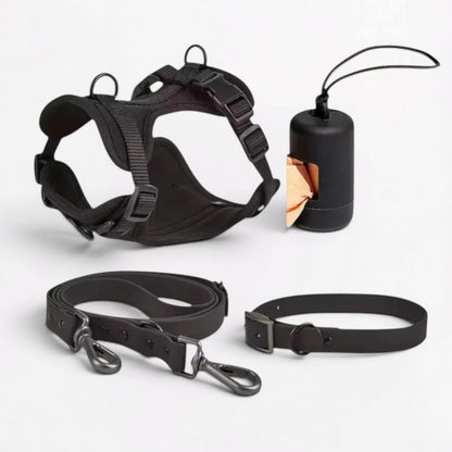 PawFlex-Frenchie-Soft-Neoprene-Gear-Set.jpg
