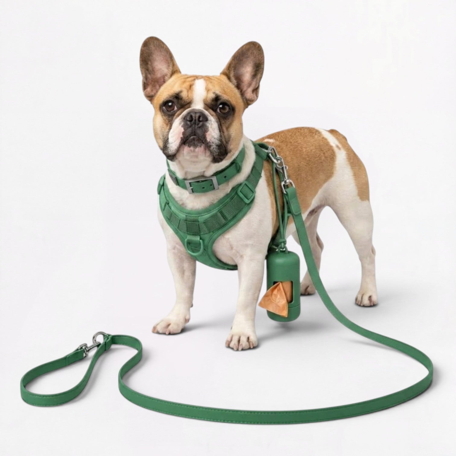 PawFlex-Frenchie-Soft-Neoprene-Gear-Set.jpg