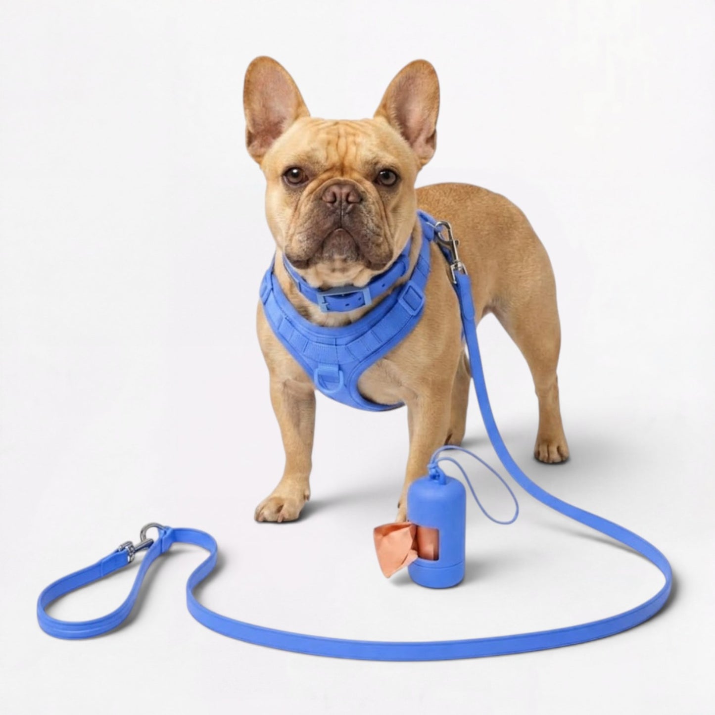 PawFlex-Frenchie-Soft-Neoprene-Gear-Set.jpg