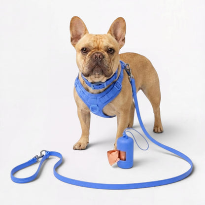 PawFlex-Frenchie-Soft-Neoprene-Gear-Set.jpg