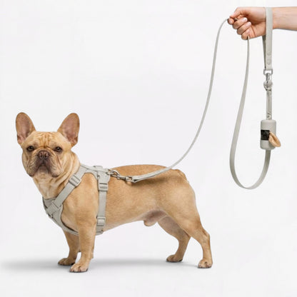 PawFlex-Frenchie-Soft-Neoprene-Gear-Set.jpg